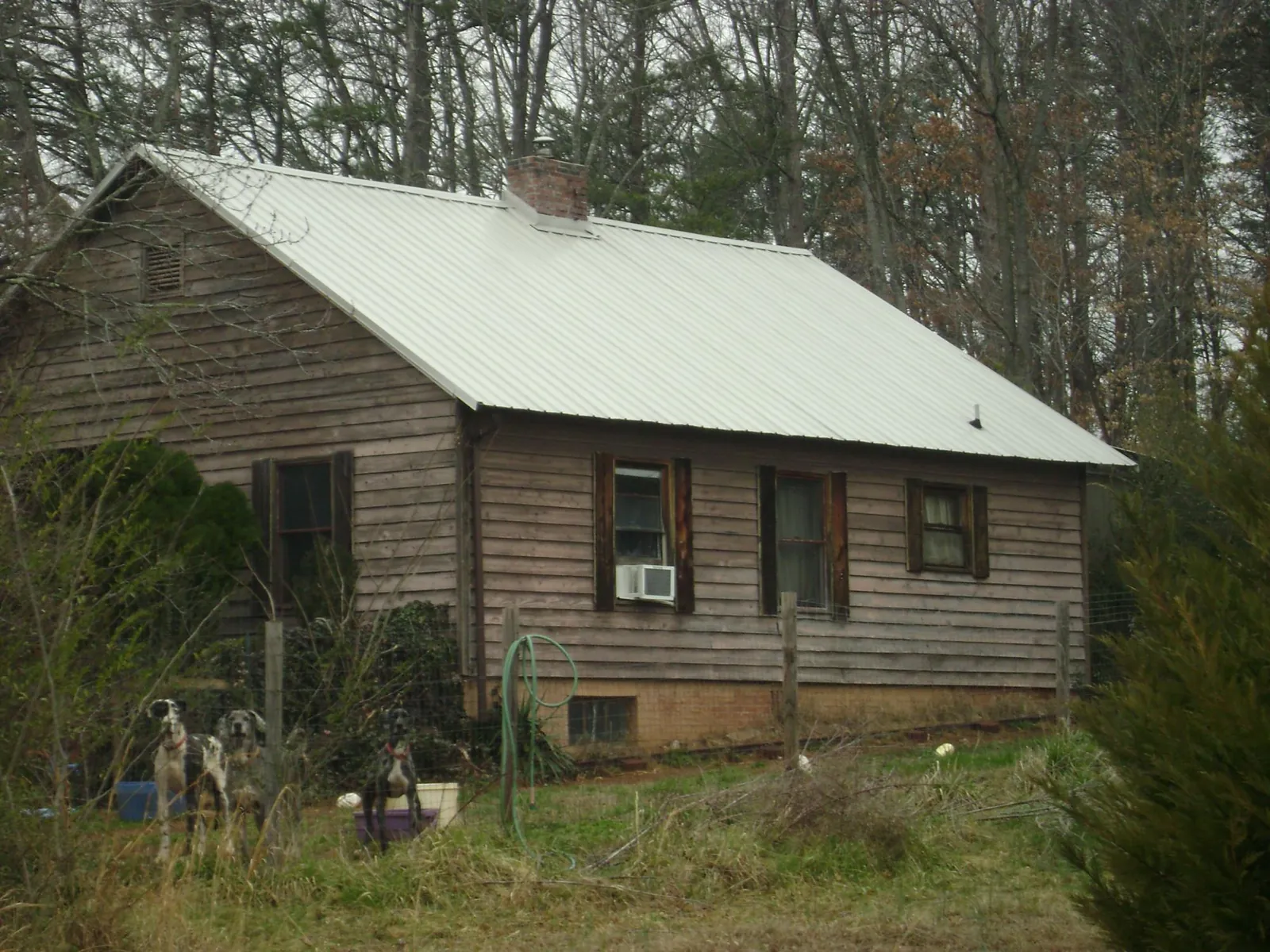 White metal roof on an old wood sided farmhouse, from a Asphalt Shingle Roof Repair job in La Porte